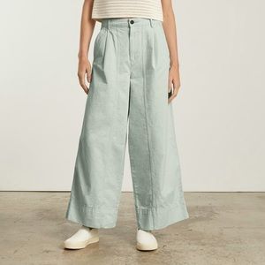 Everlane Tourist Pants in Icy Blue